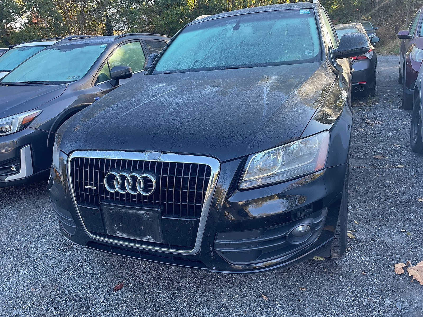 2010 Audi Q5 Premium -
                  Wappingers Falls, NY