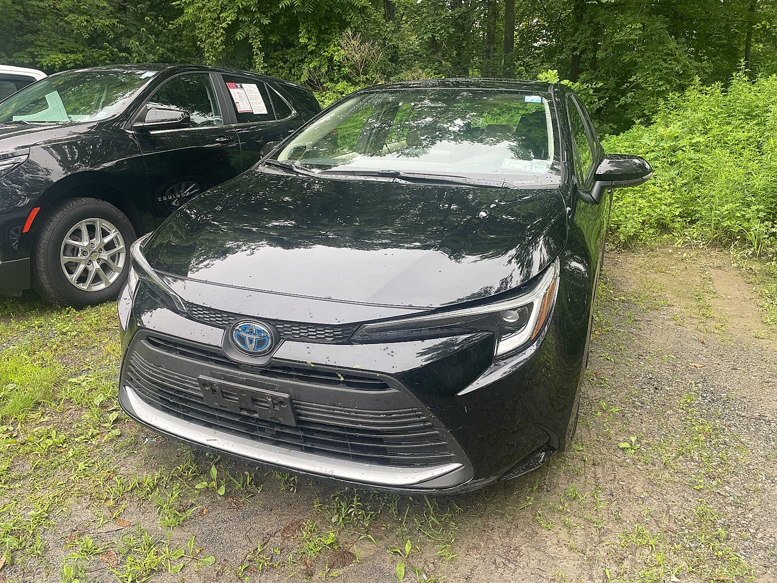 2023 Toyota Corolla XLE Hero Image