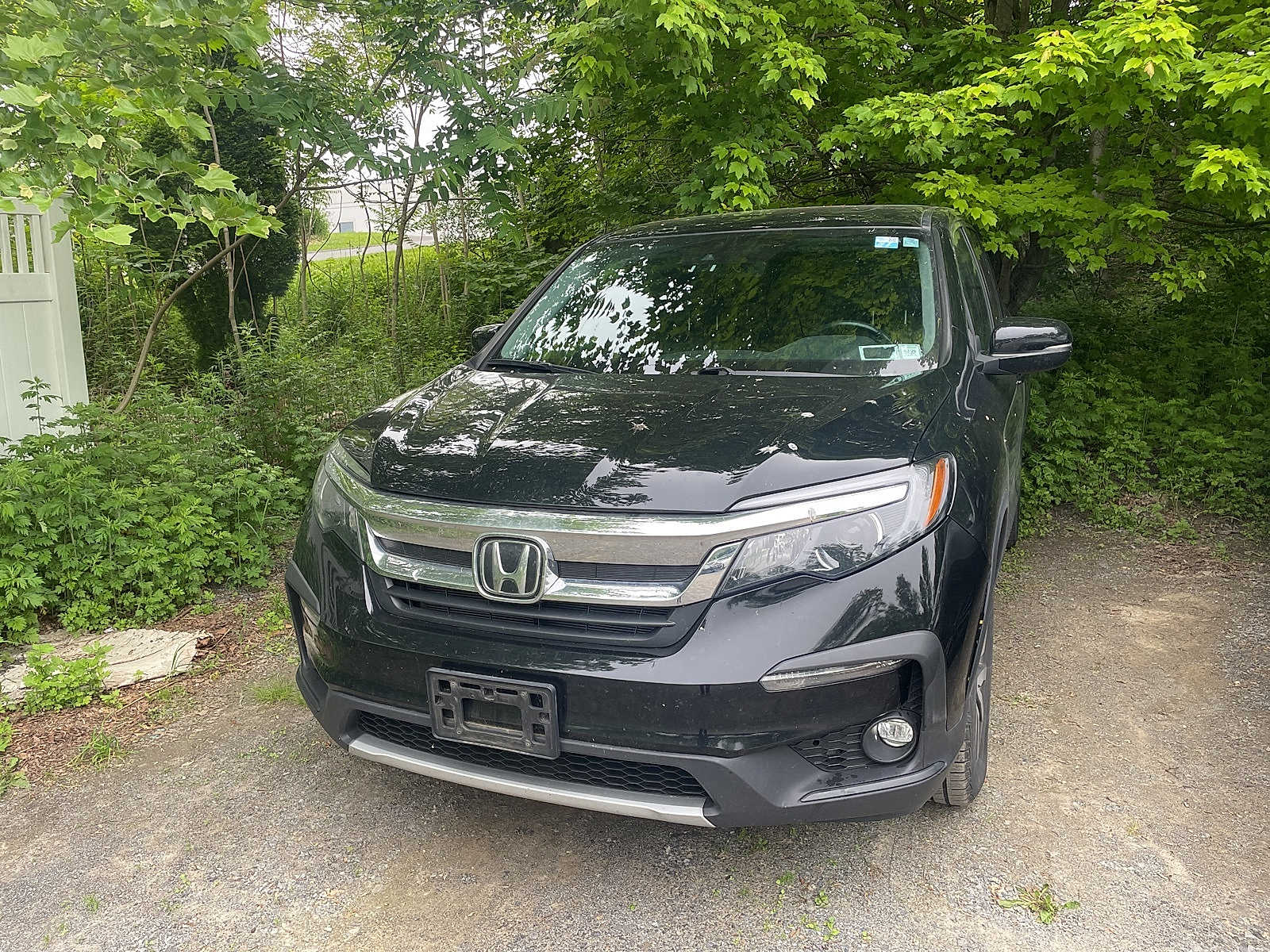 2019 Honda Pilot EX-L -
                  Wappingers Falls, NY
