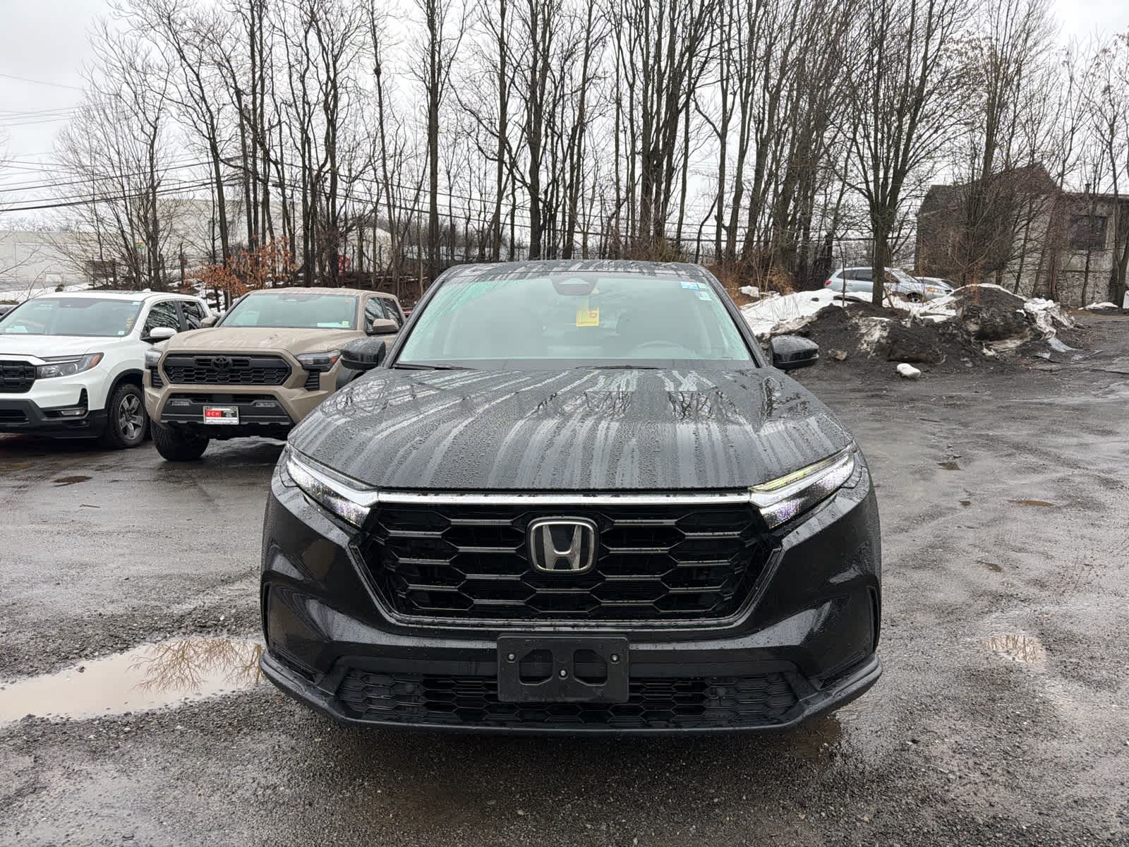 Thumbnail: 2025 Honda CR-V - 4