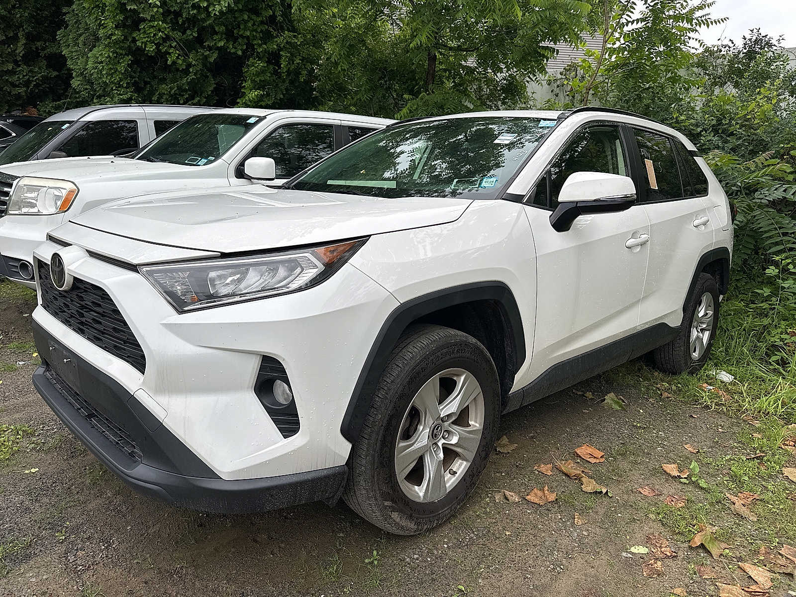 2019 Toyota RAV4 XLE -
                  Wappingers Falls, NY