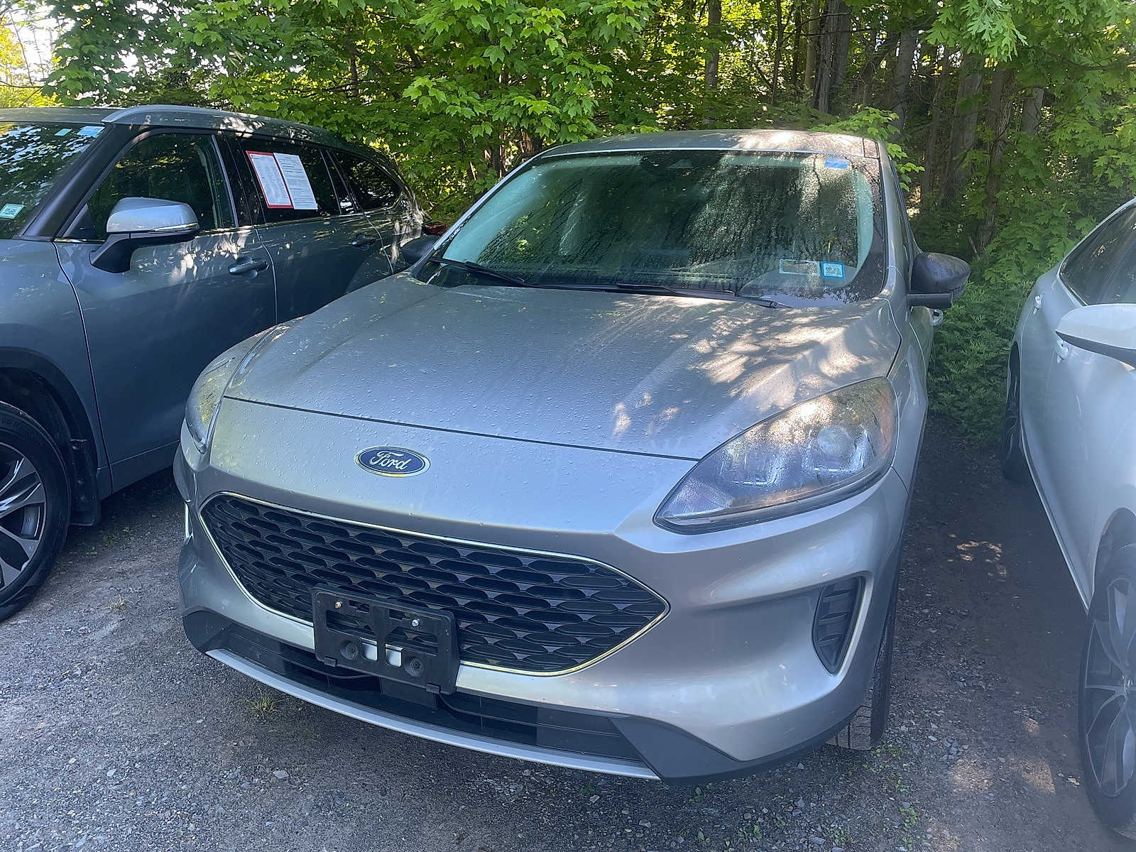 2022 Ford Escape SE Hero Image
