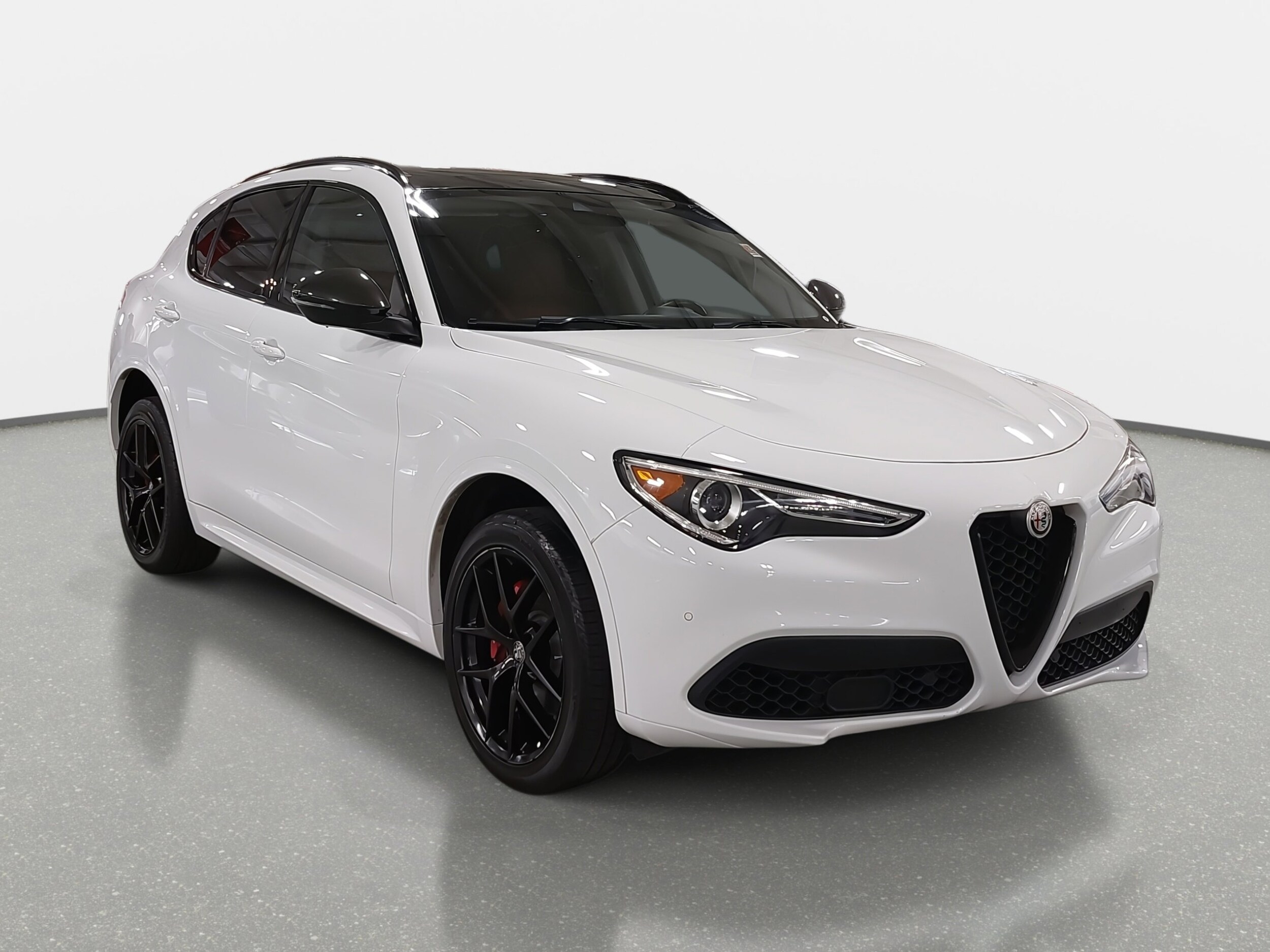 2020 Alfa Romeo Stelvio Sport photo 3