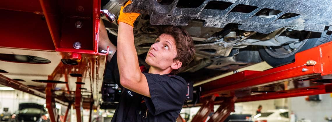 Software and Recall Check*