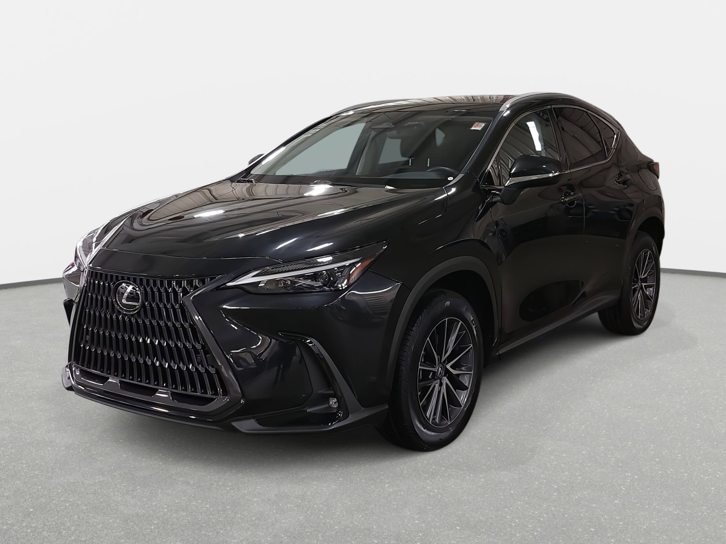 2023 Lexus NX 350's photo