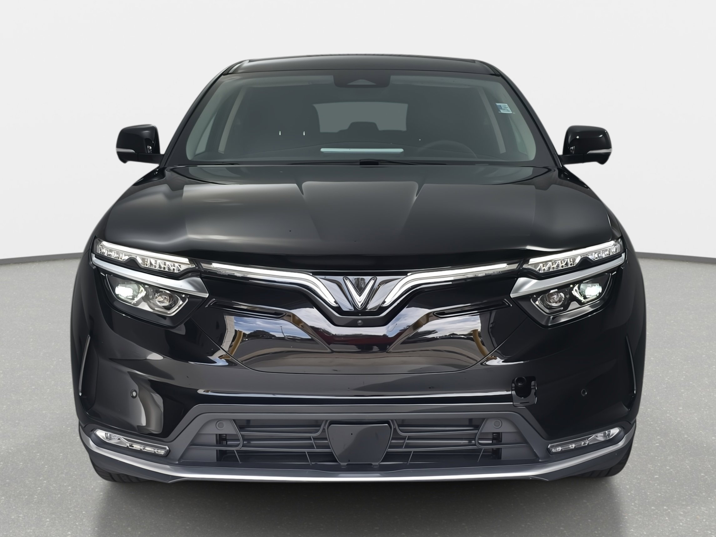 2025 Vinfast VF 8 8 photo 2