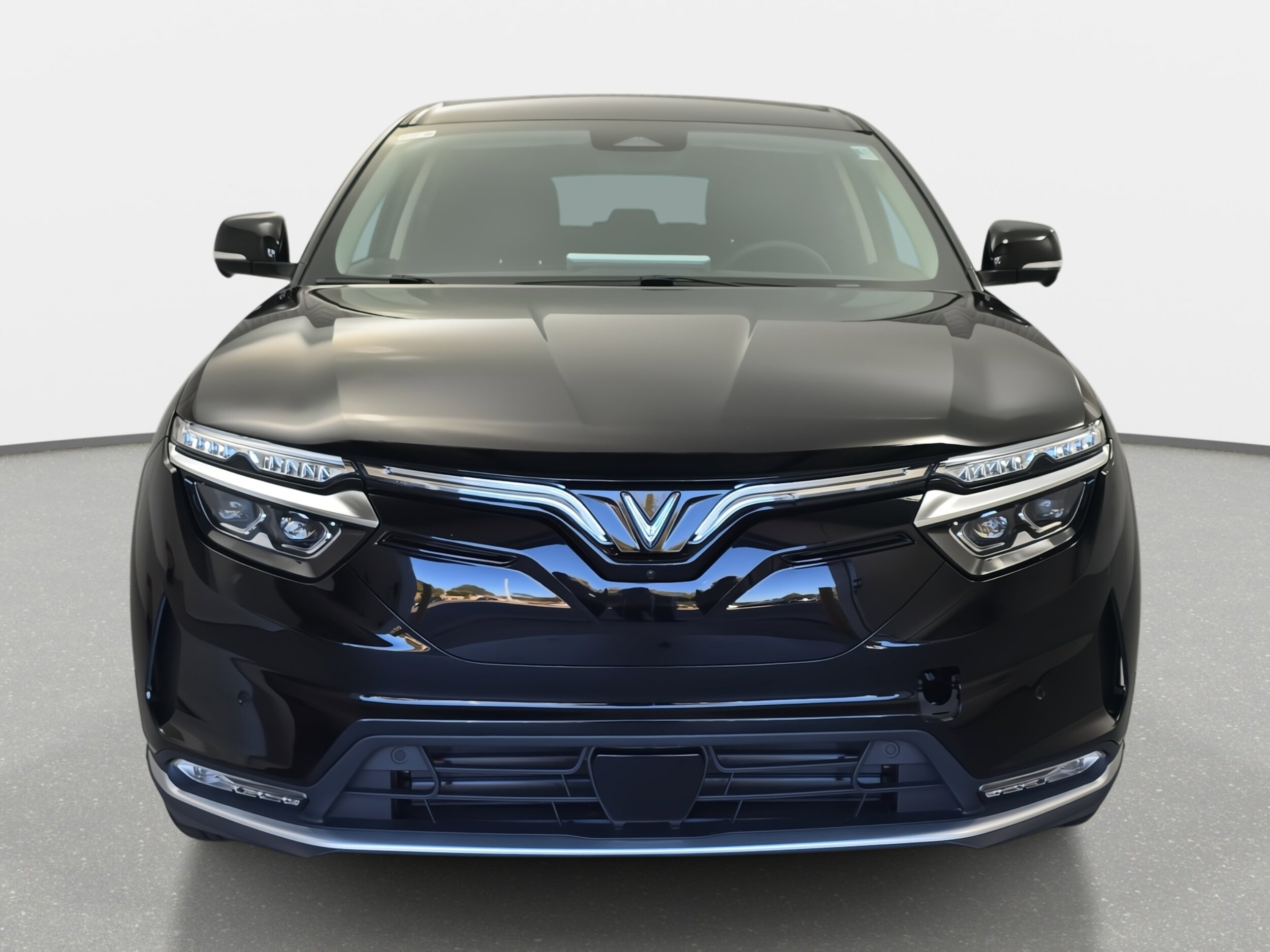 2025 Vinfast VF 8 8 photo 2