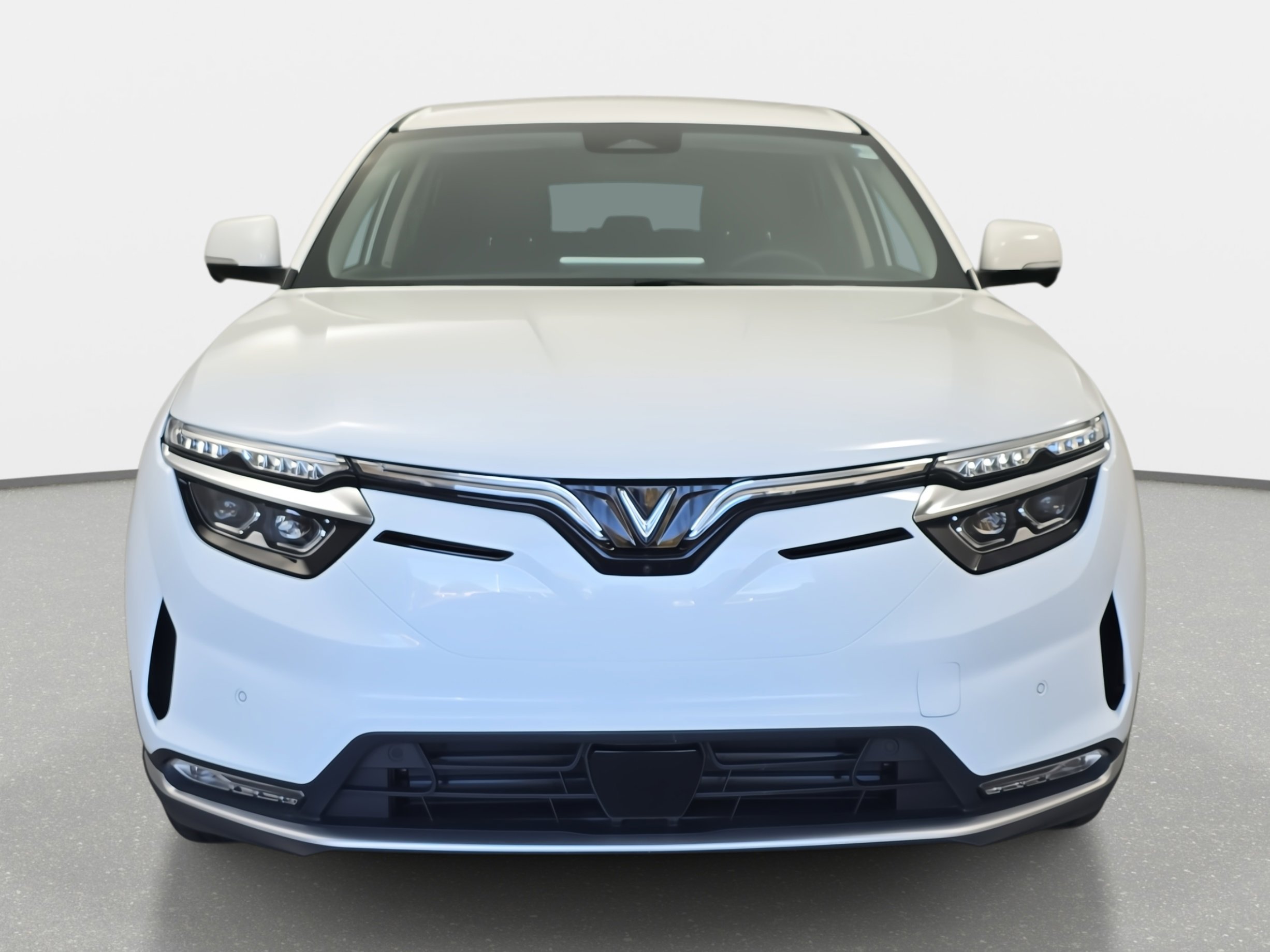 2025 Vinfast VF 8 8 photo 2