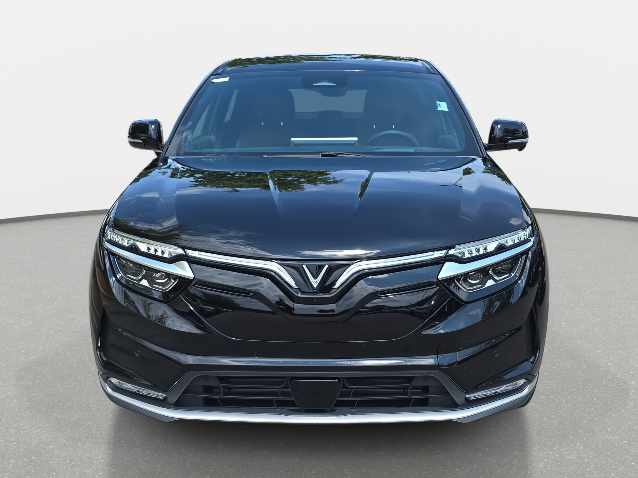 2025 Vinfast VF 8 8 photo 2
