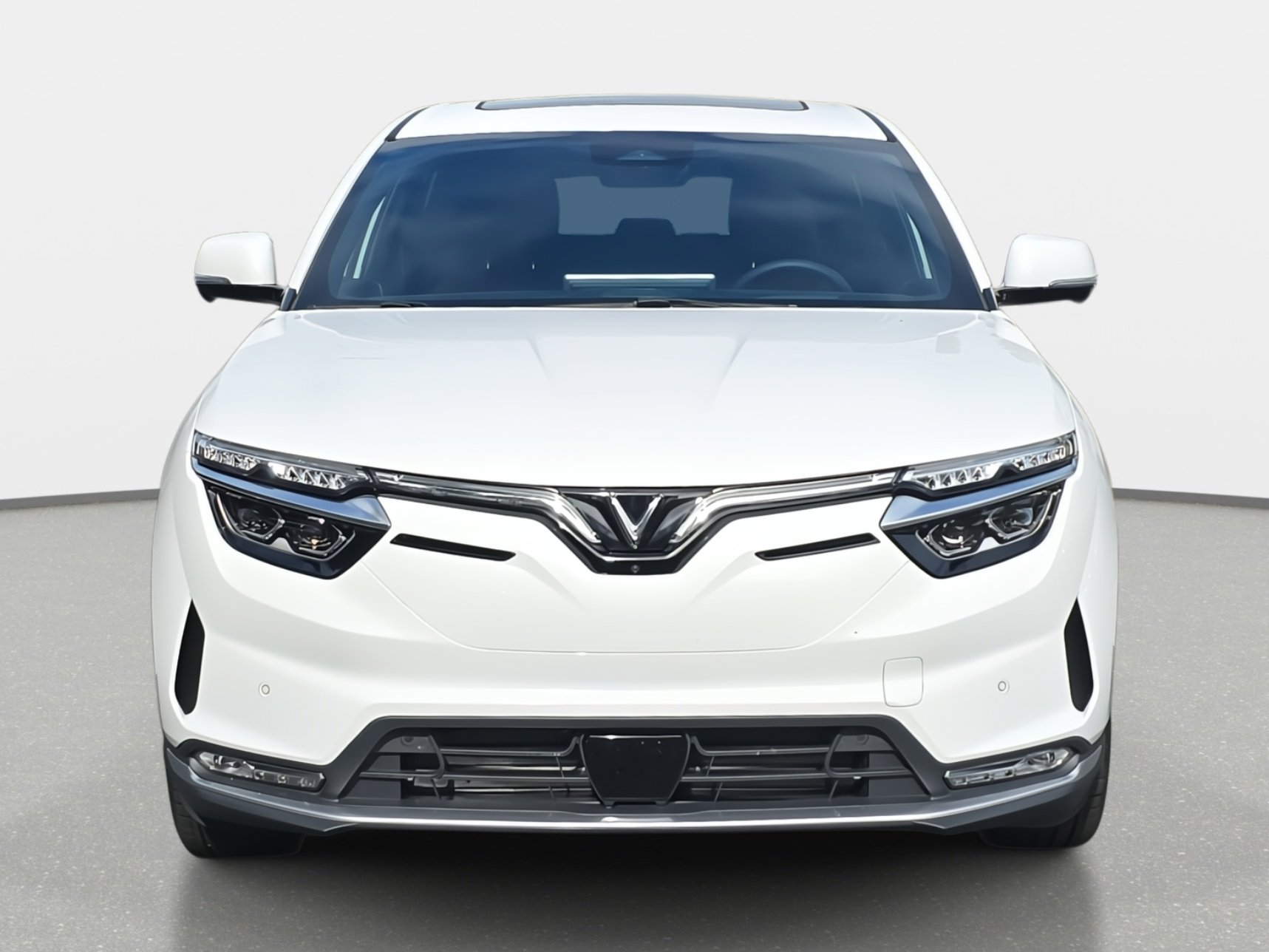 2025 Vinfast VF 8 8 photo 2