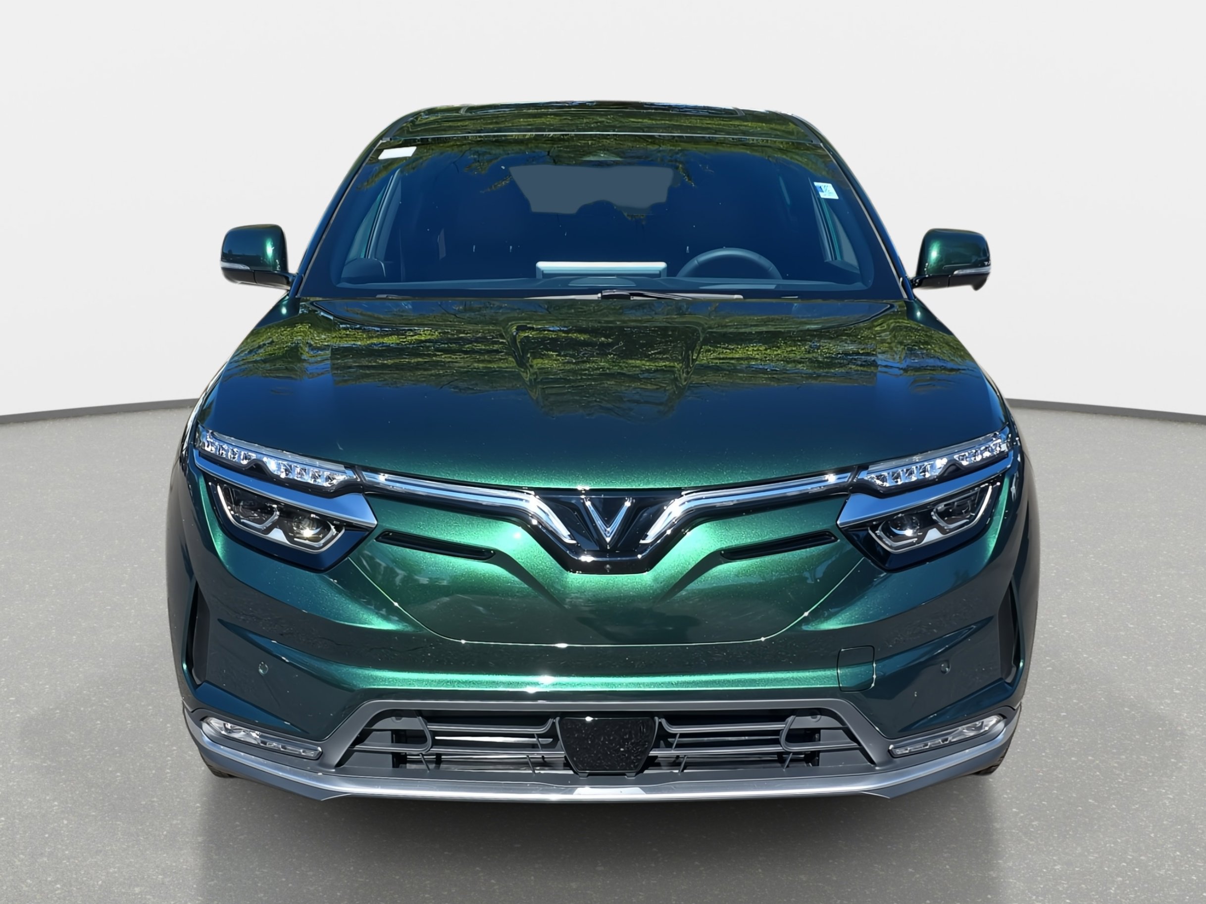 2025 Vinfast VF 8 8 photo 2