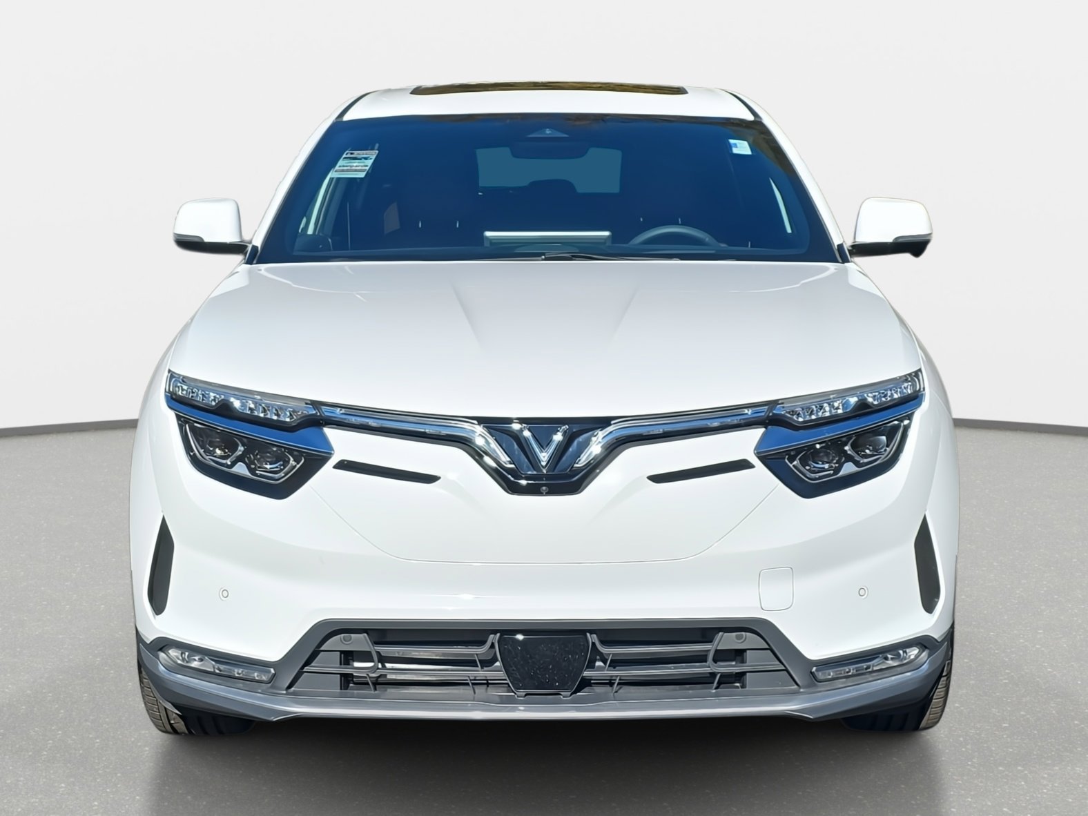 2025 Vinfast VF 8 8 photo 2