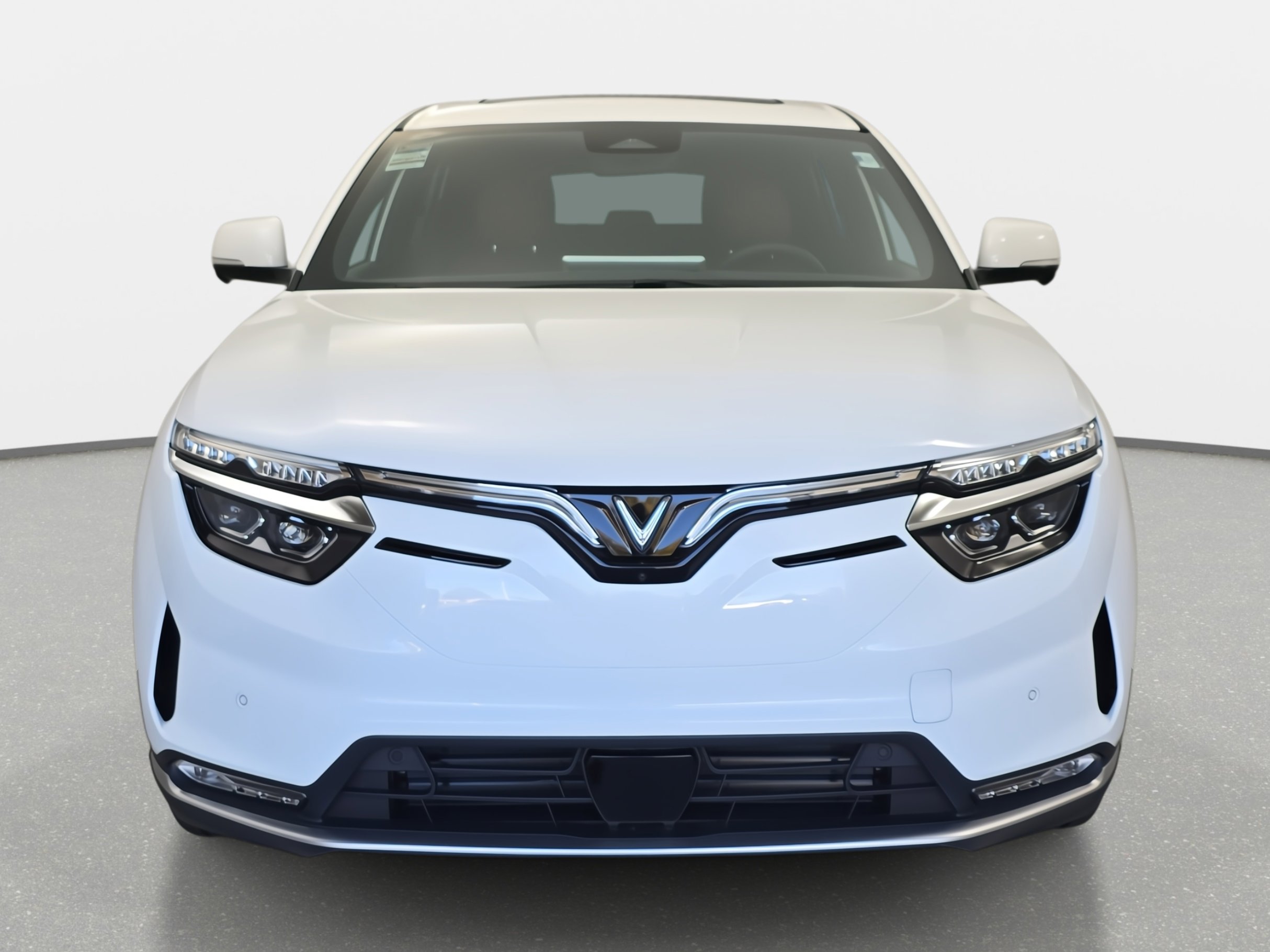 2025 Vinfast VF 8 8 photo 2
