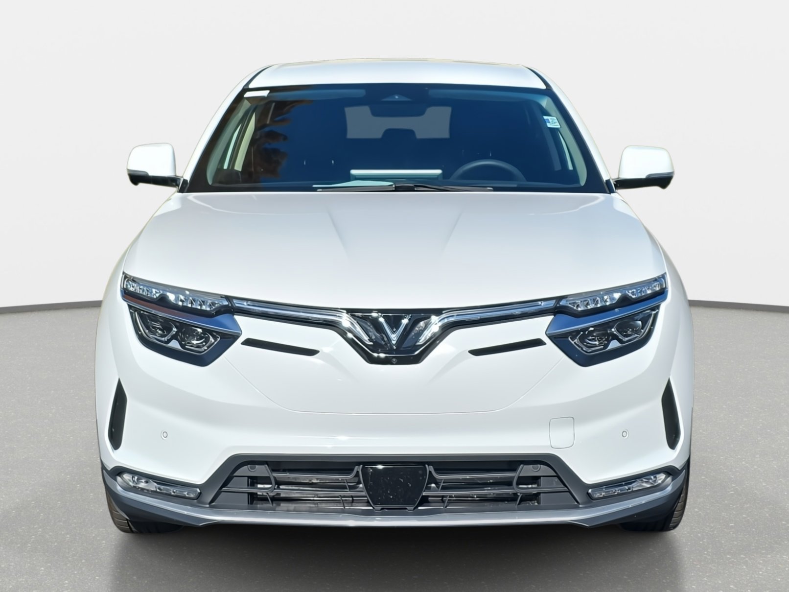 2025 Vinfast VF 8 8 photo 2