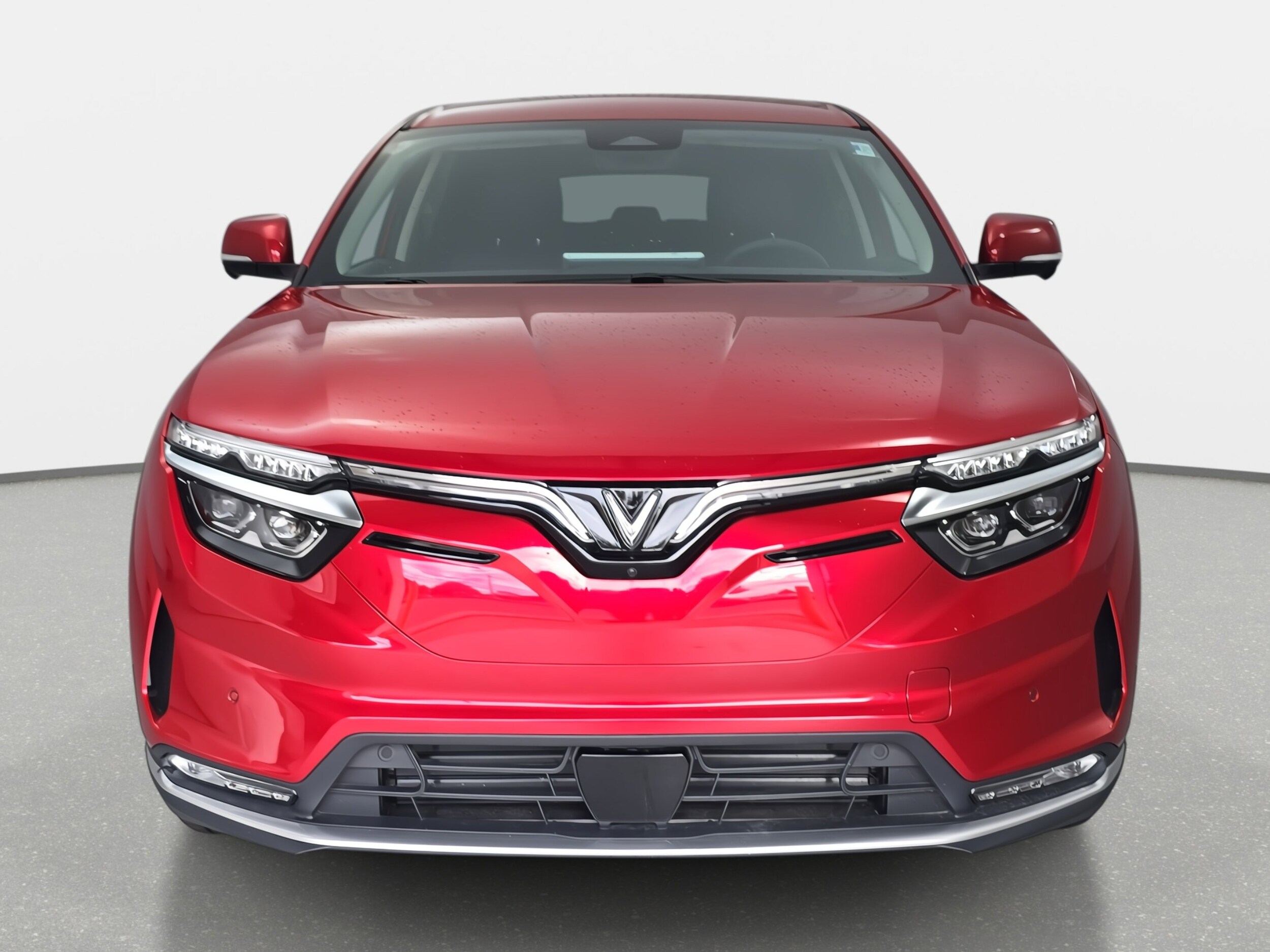 2025 Vinfast VF 8 8 photo 2