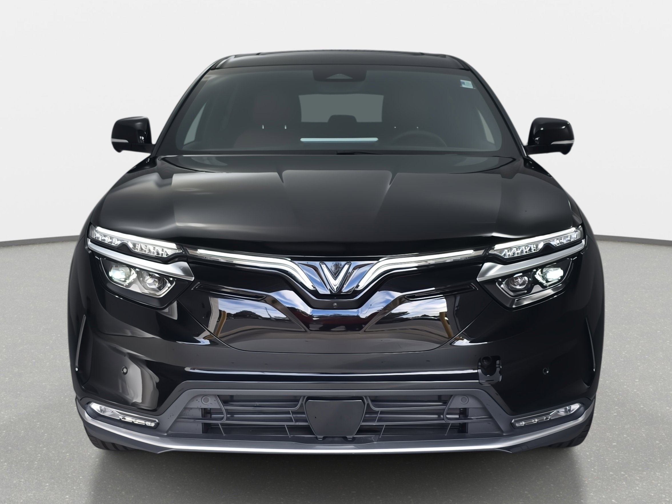 2025 Vinfast VF 8 8 photo 2