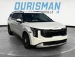  Kia Carnival Hybrid