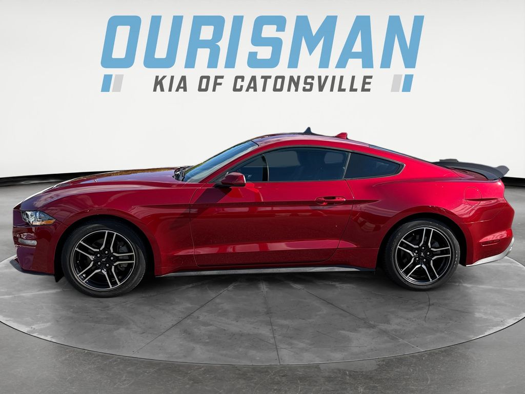 2020 Ford Mustang EcoBoost photo 3
