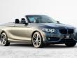 Used 2020 BMW 2 Series 230i xDrive Convertible