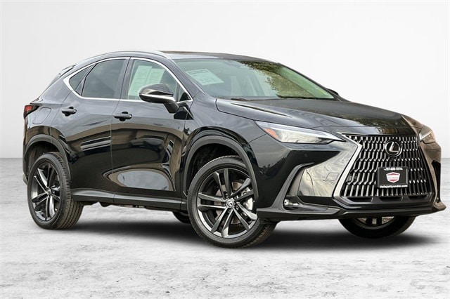 2024 Lexus NX PHEV 450h+'s photo