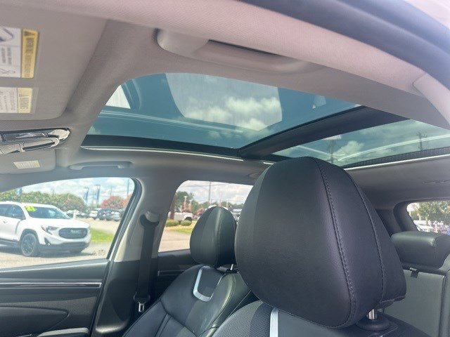2024 Hyundai Tucson Limited photo 3