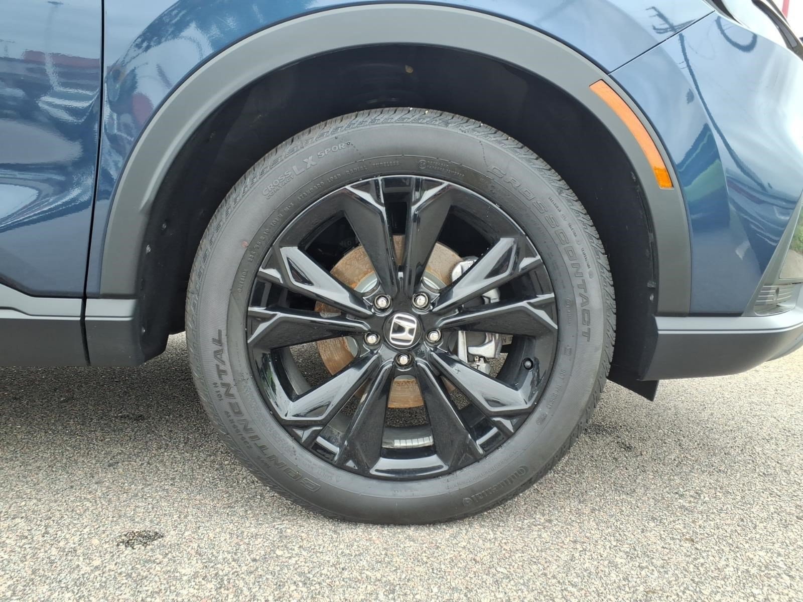Photo 11