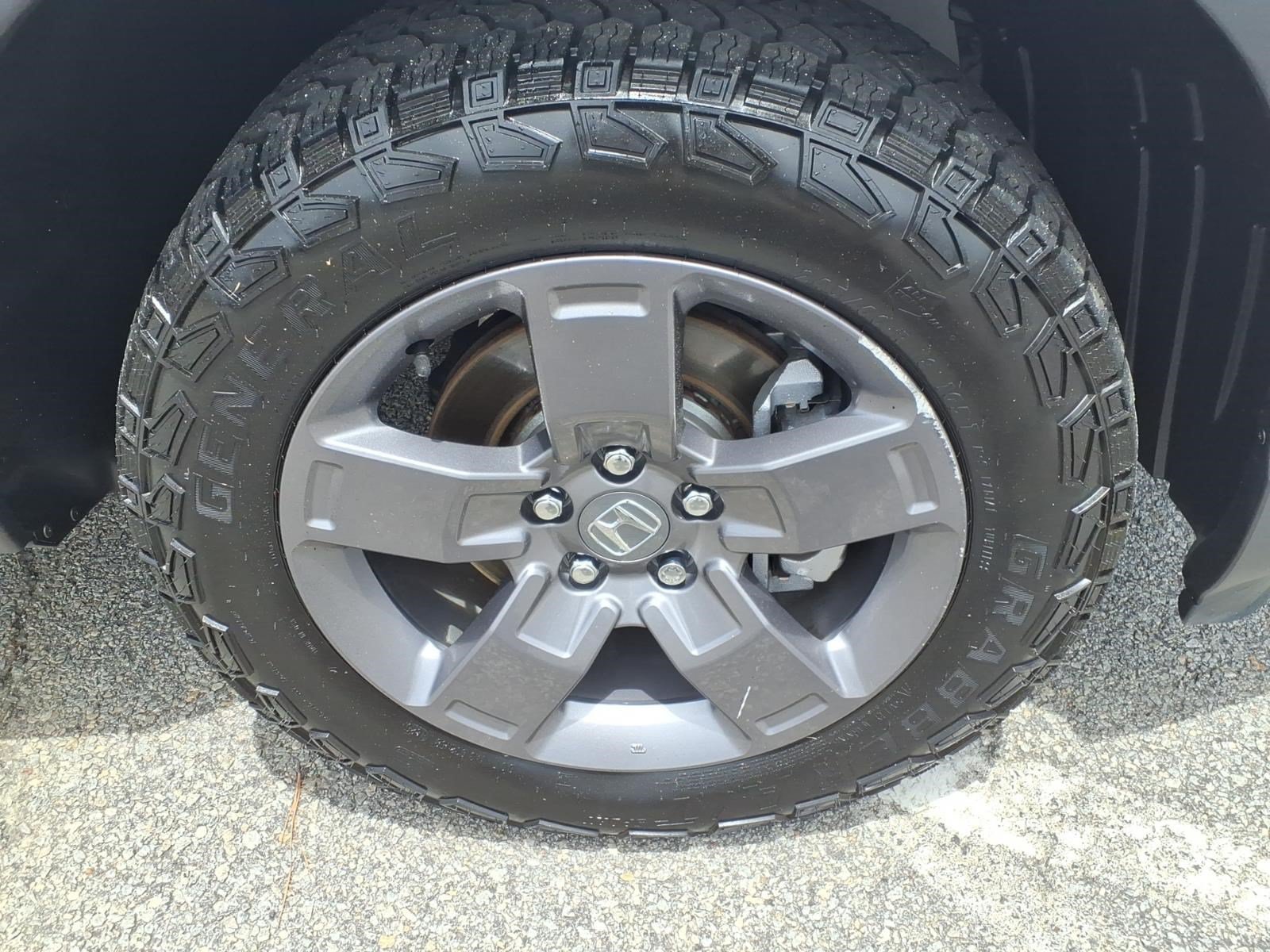 Photo 10