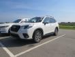 Used 2023 Subaru Forester Premium SUV
