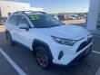 Used 2023 Toyota RAV4 Hybrid Woodland Edition SUV