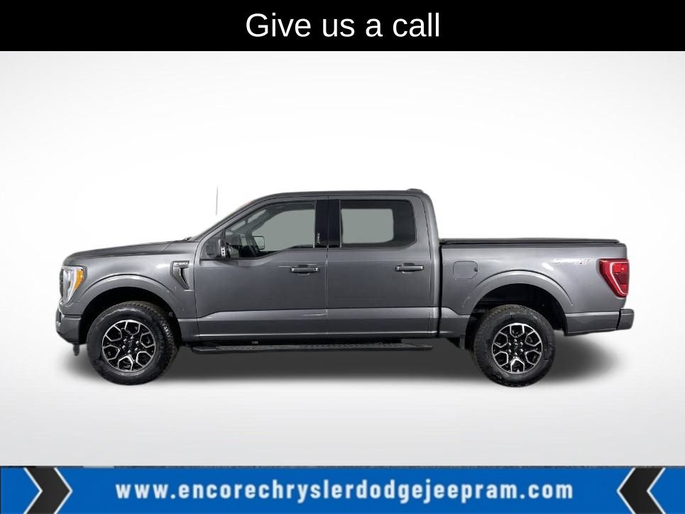 2023 Ford F-150 XLT's photo