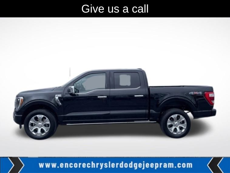 2023 Ford F-150 Platinum's photo