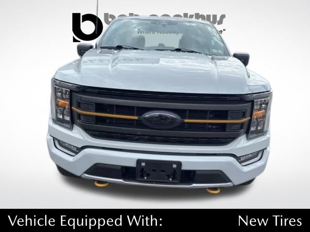 2023 Ford F-150 Tremor's photo