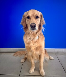 Staff member Izzy from ID_046f296b28b0
