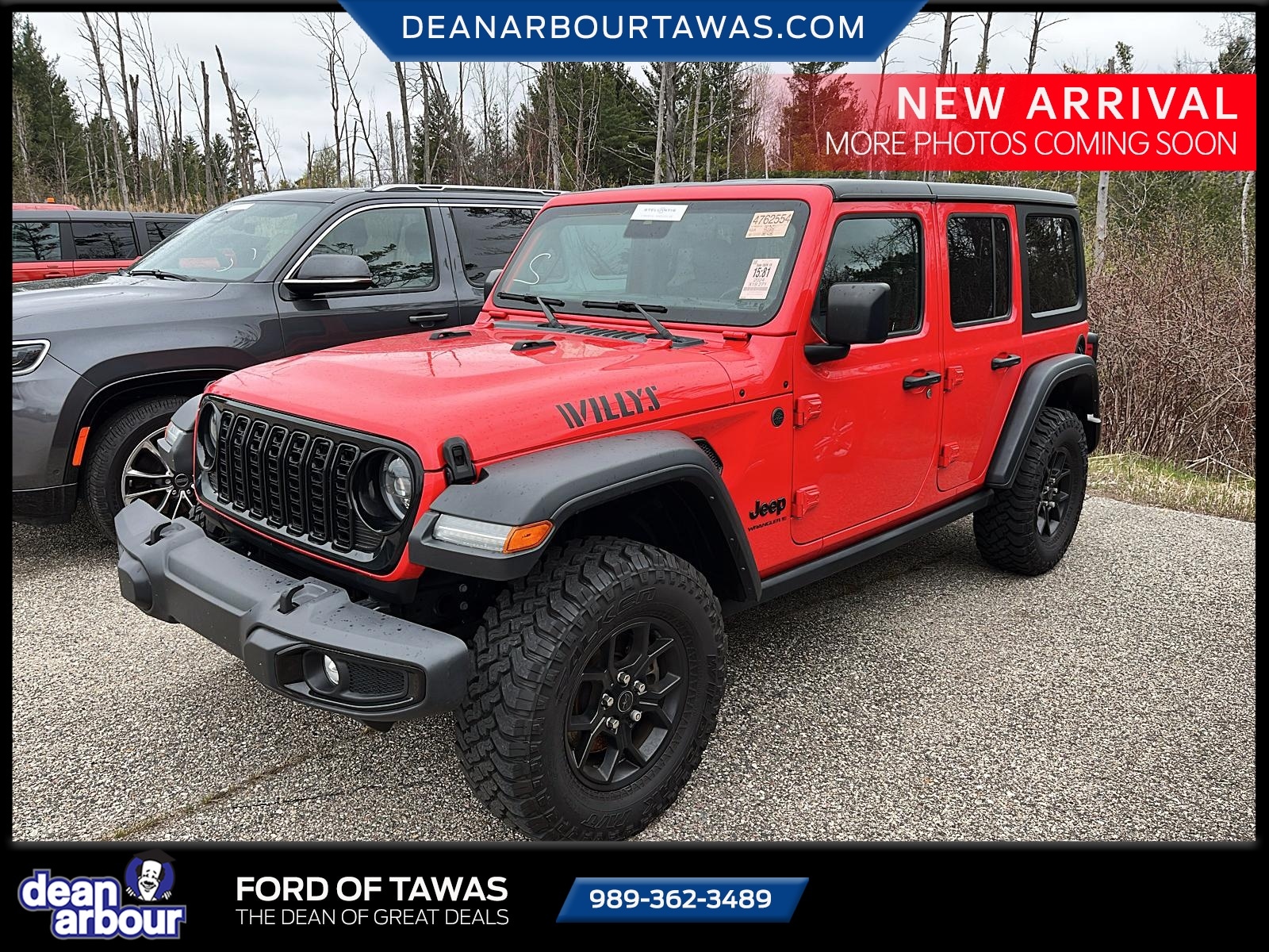 2024 Jeep Wrangler Willys's photo