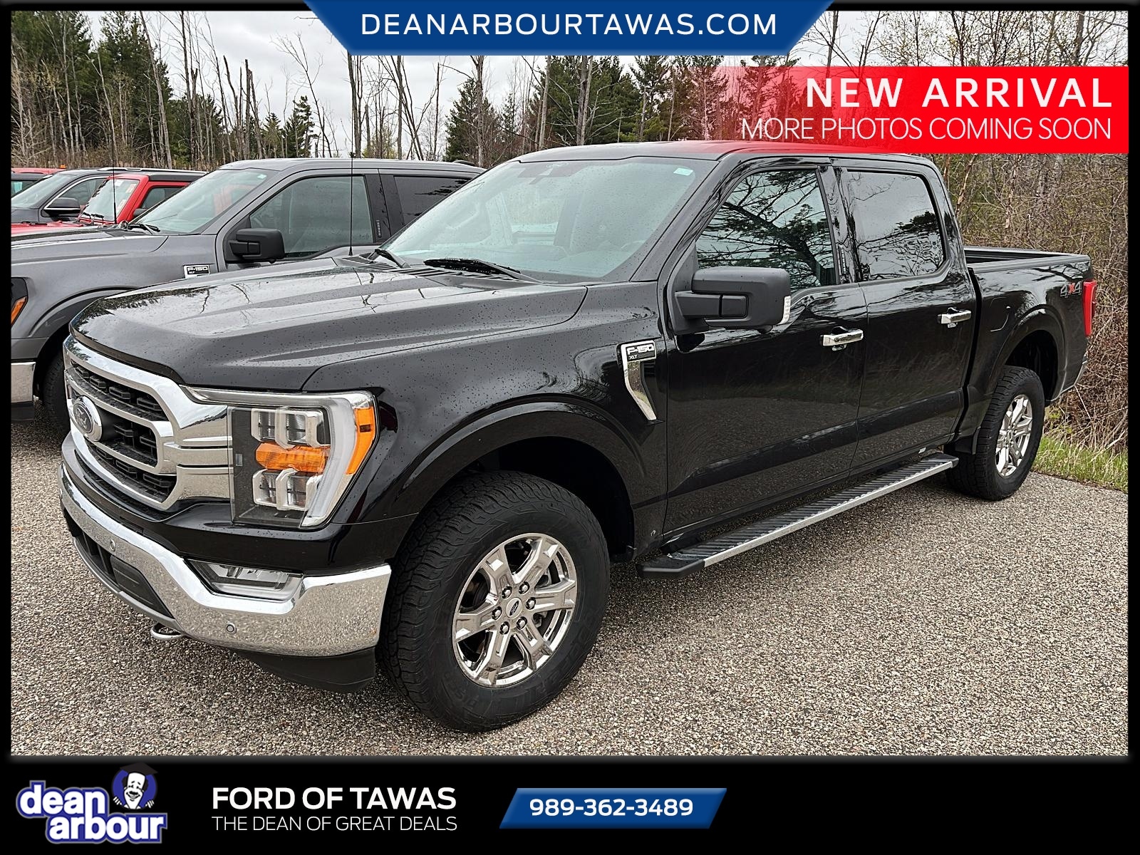 2021 Ford F-150 XLT 4x4 SuperCrew 5-1/2 Box's photo