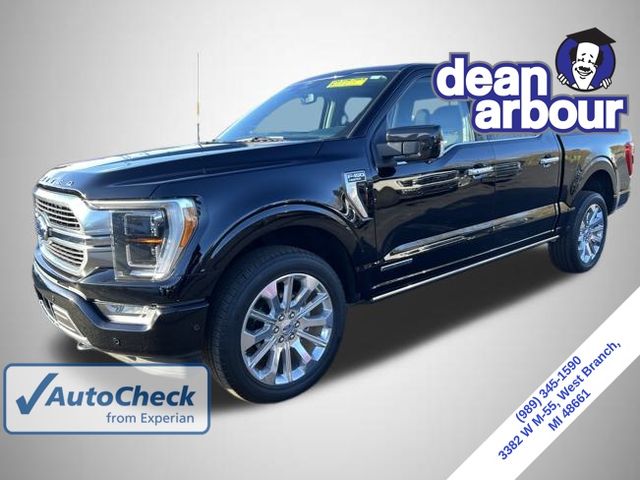 2022 Ford F-150 Limited's photo