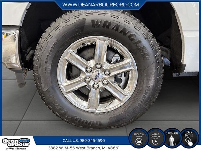 2024 Ford F-150 XLT - Photo 6