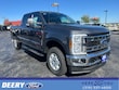 Ford Super Duty F-250 SRW
