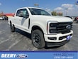 Ford Super Duty F-250 SRW