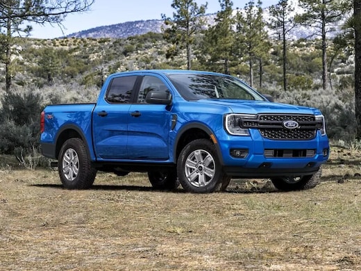 Ford Ranger parked in a forest