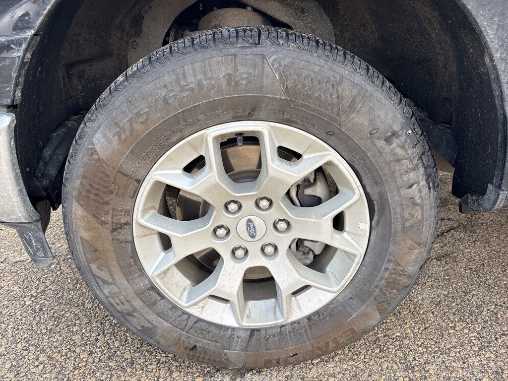 2023 Ford F-150 photo 4