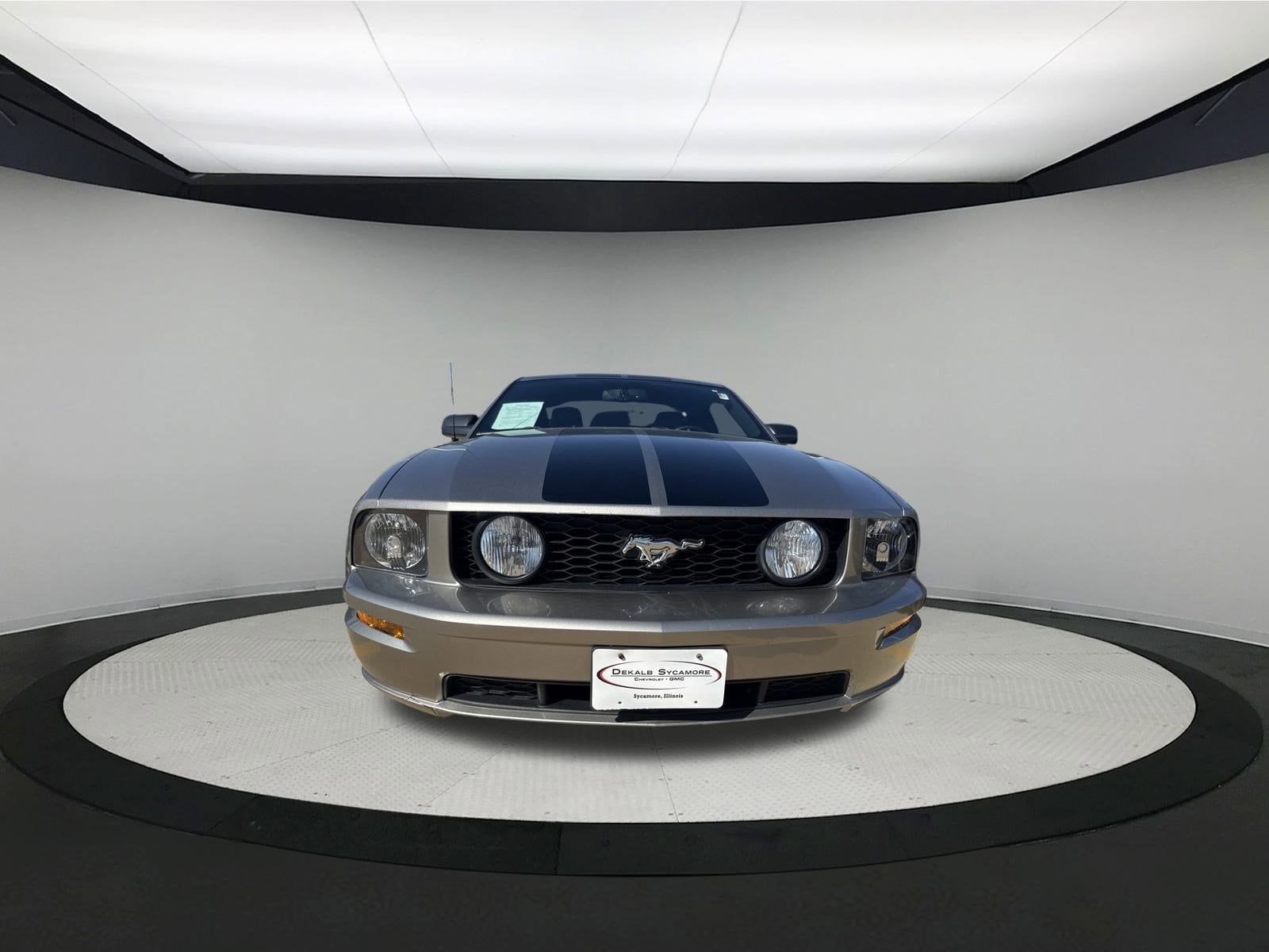 Used 2008 Ford Mustang GT Deluxe with VIN 1ZVHT82H885133094 for sale in Sycamore, IL