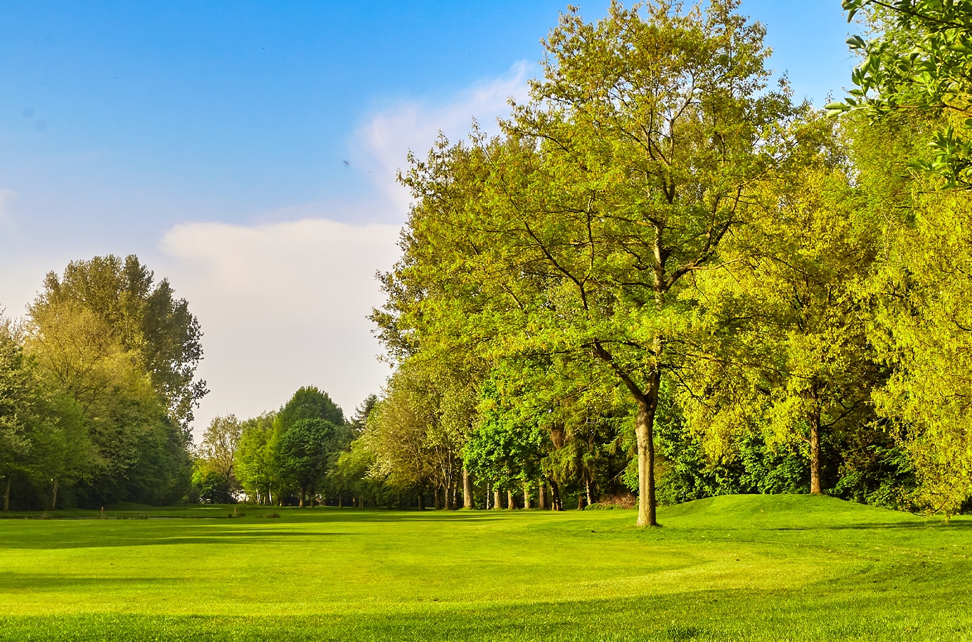 Chevy Dealer in Mt Pleasant | Local park near Mt Pleasant 