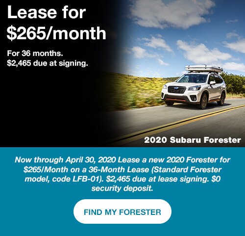 10-2020-forester-lease.jpg