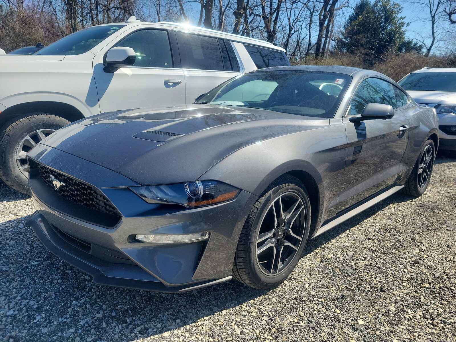 2021 Ford Mustang EcoBoost Premium photo 3