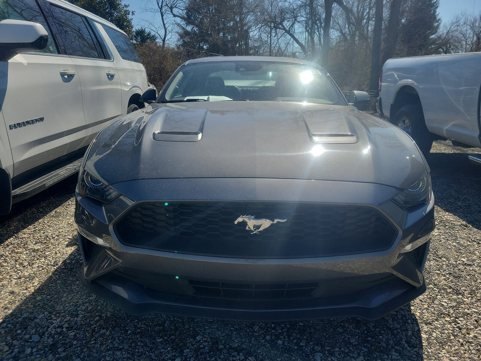 2021 Ford Mustang EcoBoost Premium photo 2