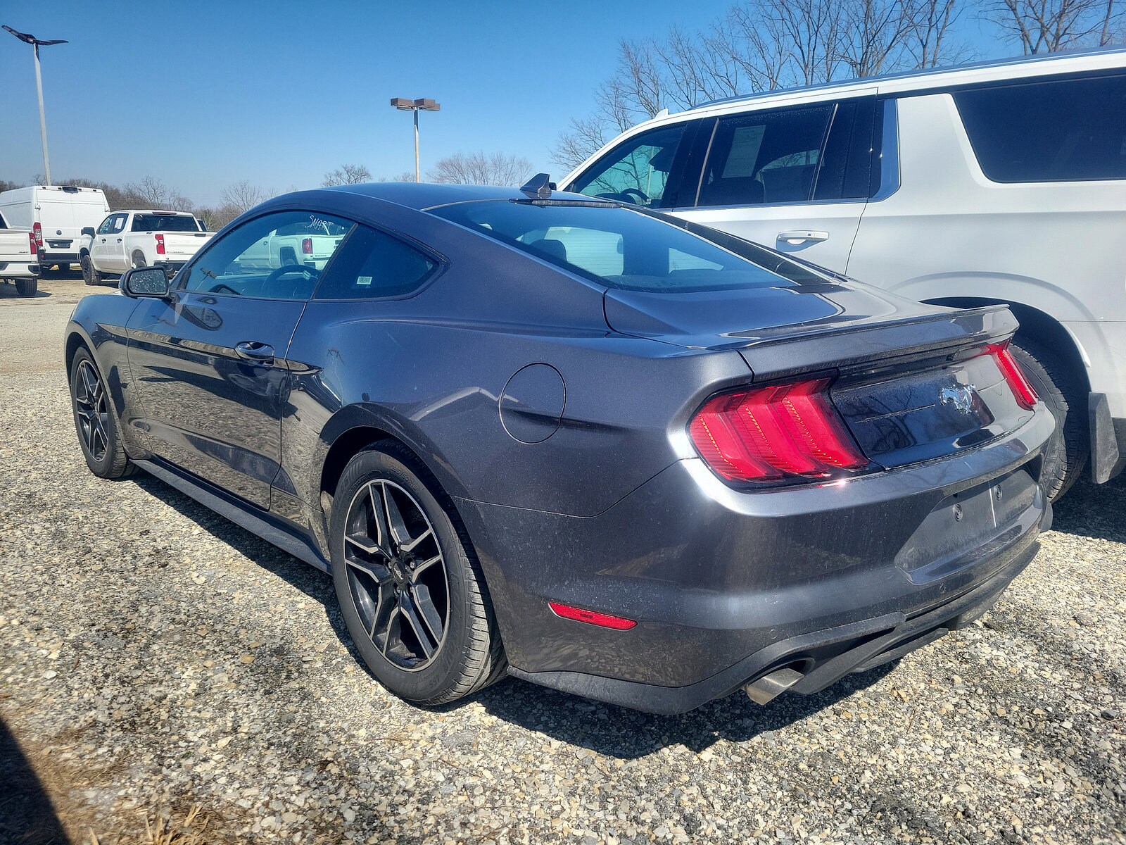 2021 Ford Mustang EcoBoost Premium photo 4