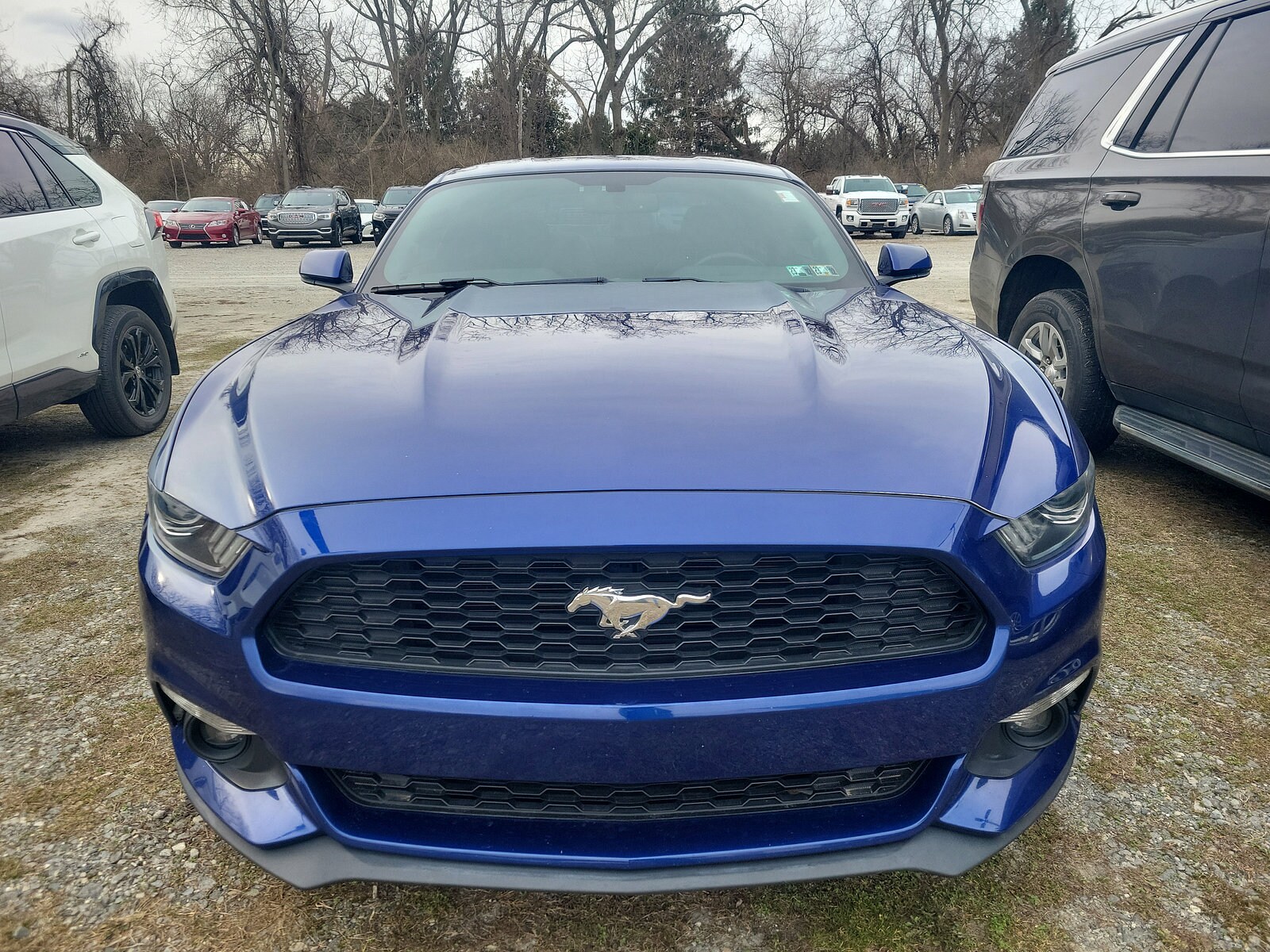 2016 Ford Mustang EcoBoost photo 2
