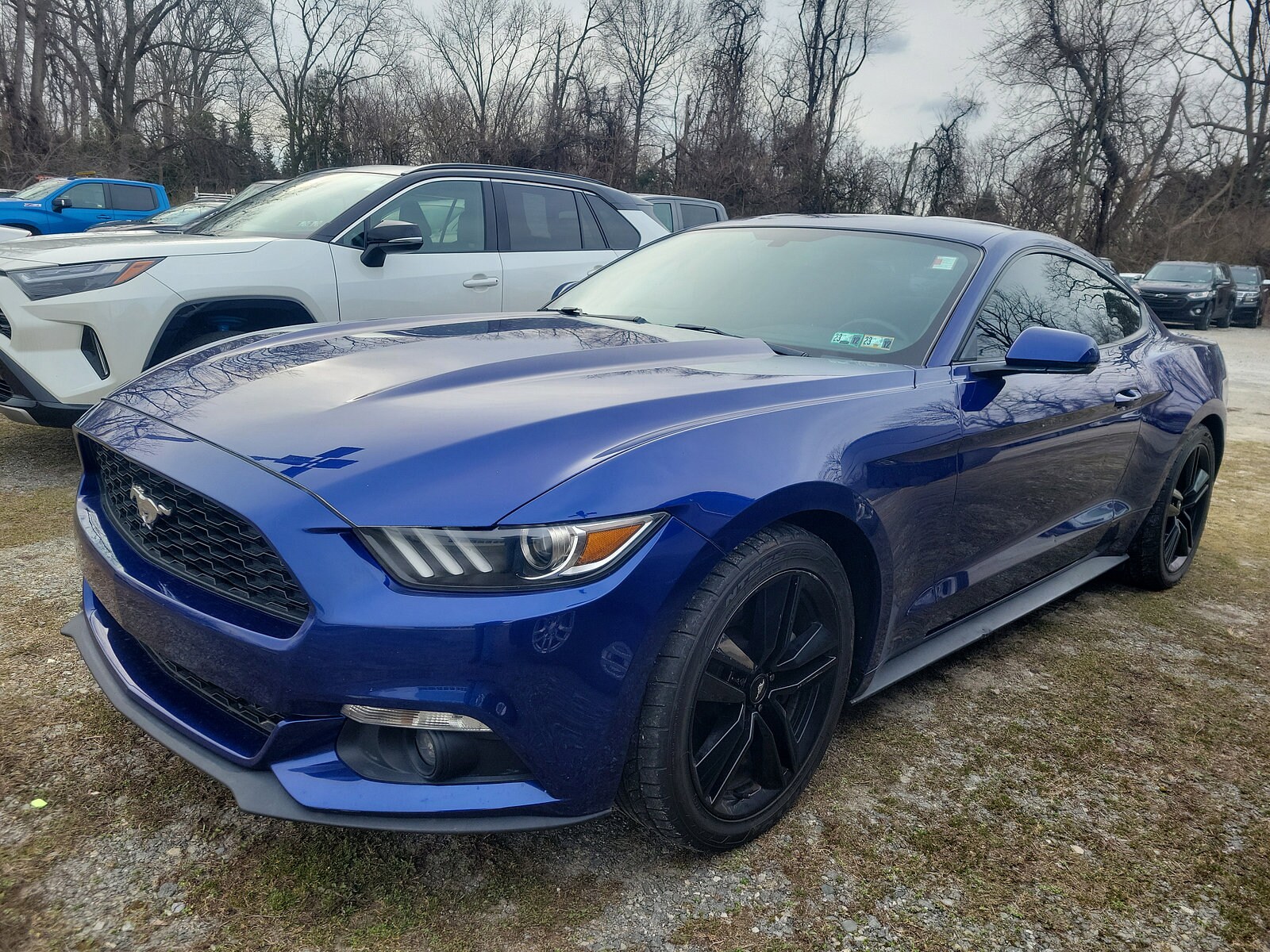 2016 Ford Mustang EcoBoost photo 3