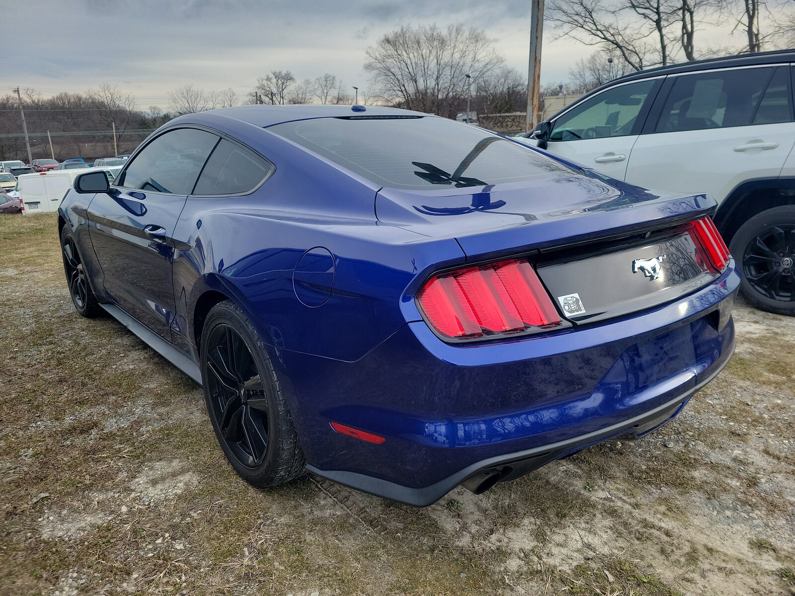 2016 Ford Mustang EcoBoost photo 4